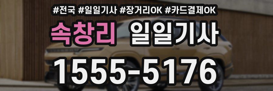 속창리 일일기사