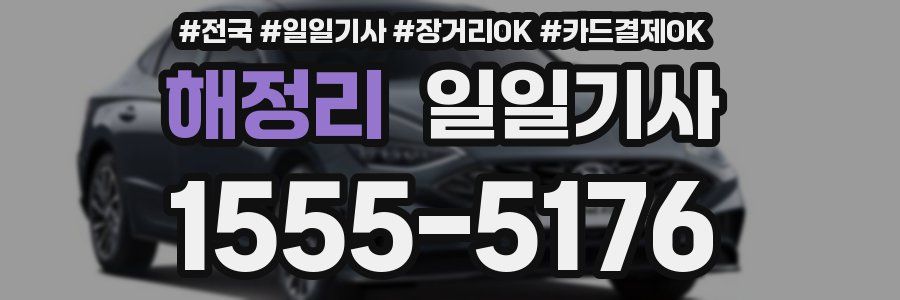해정리 일일기사