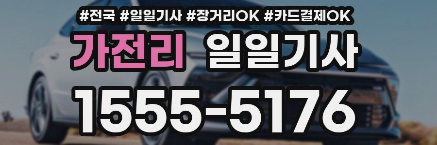 가전리 일일기사