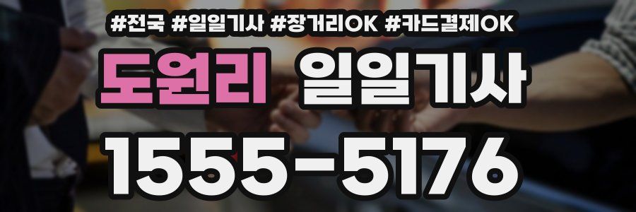 도원리 일일기사