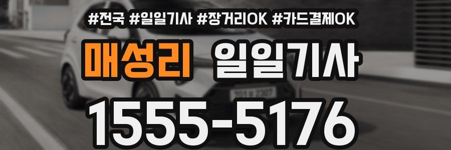 매성리 일일기사