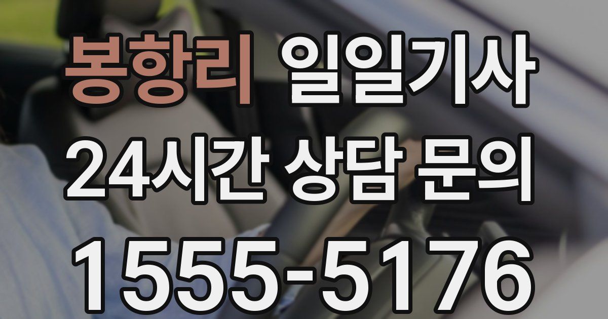 일일대리기사