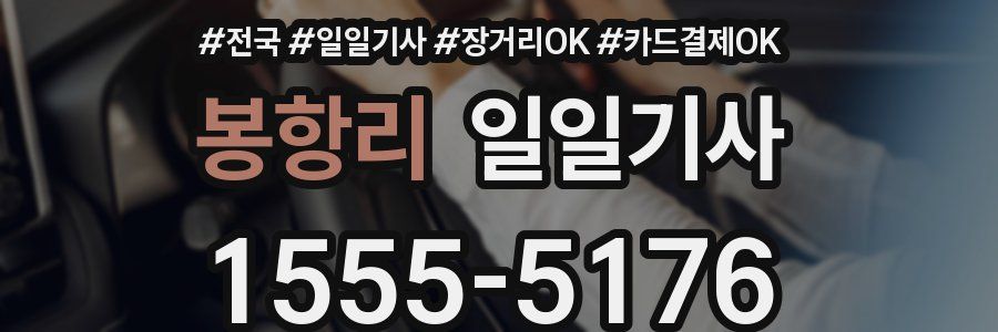 봉항리 일일기사
