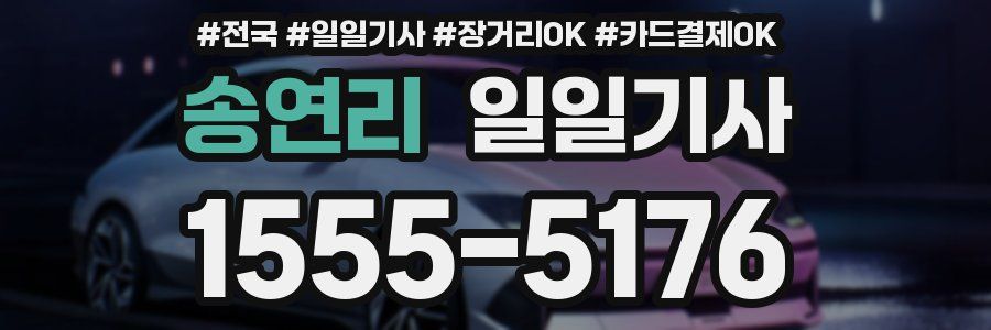 송연리 일일기사