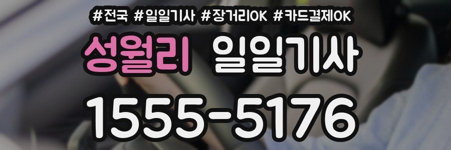 성월리 일일기사