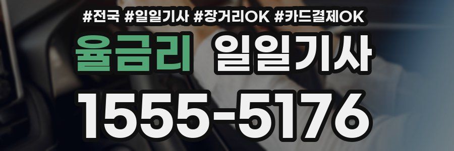 율금리 일일기사