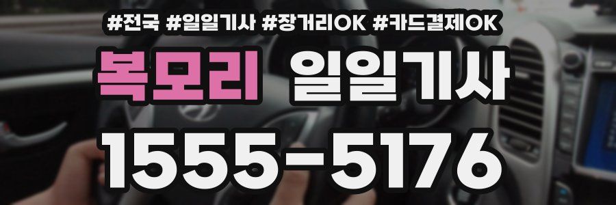 복모리 일일기사