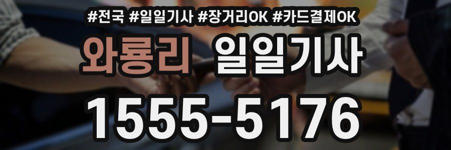 와룡리 일일기사