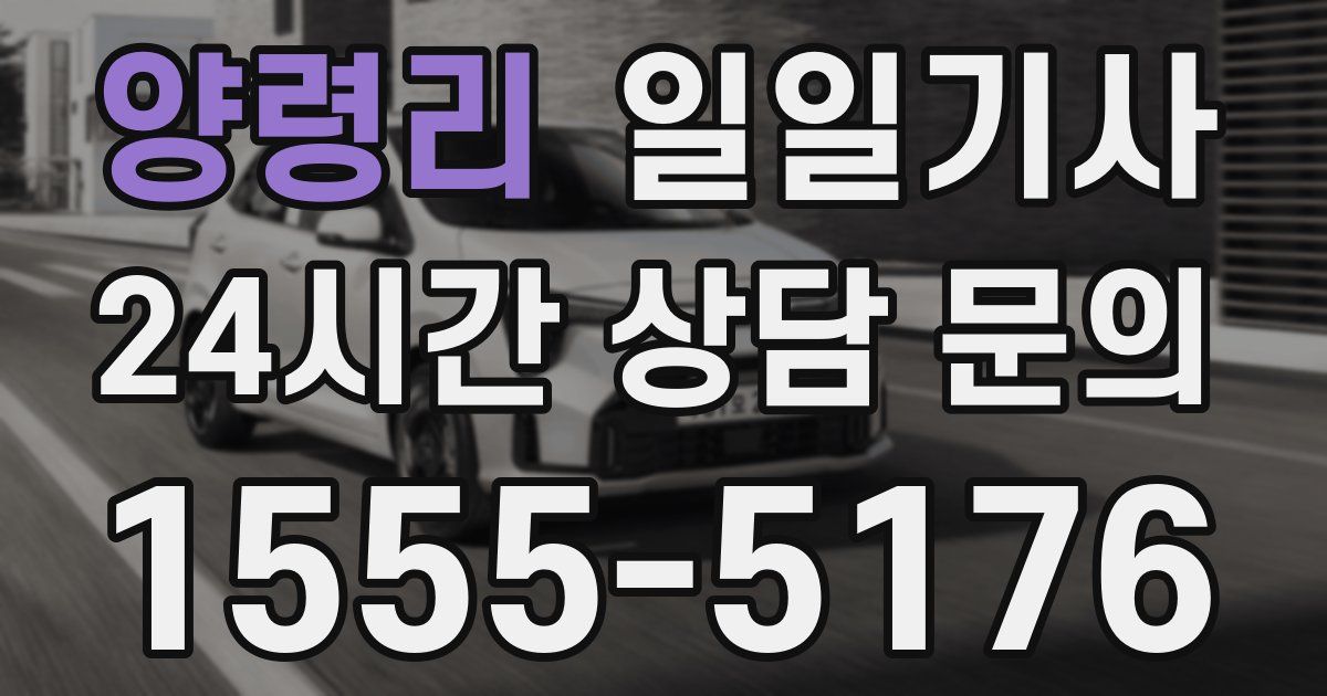 일일대리기사