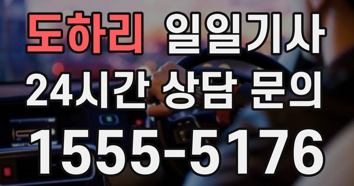 일일대리기사