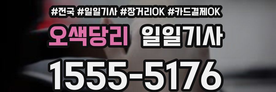 오색당리 일일기사