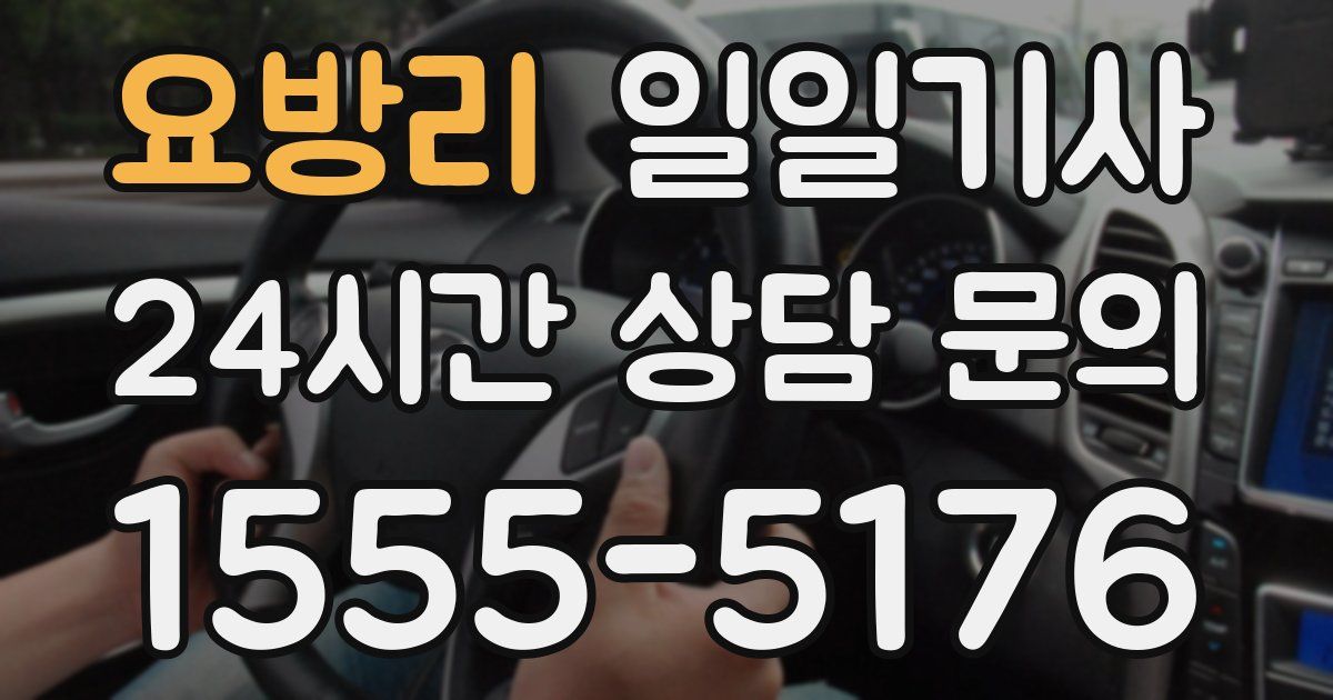 일일대리기사