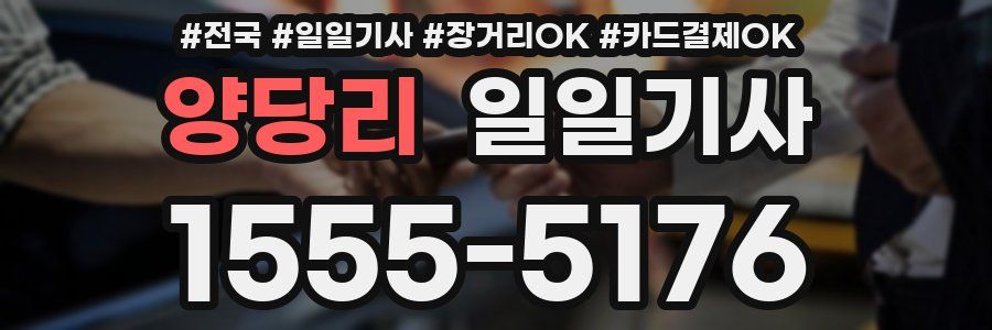 양당리 일일기사