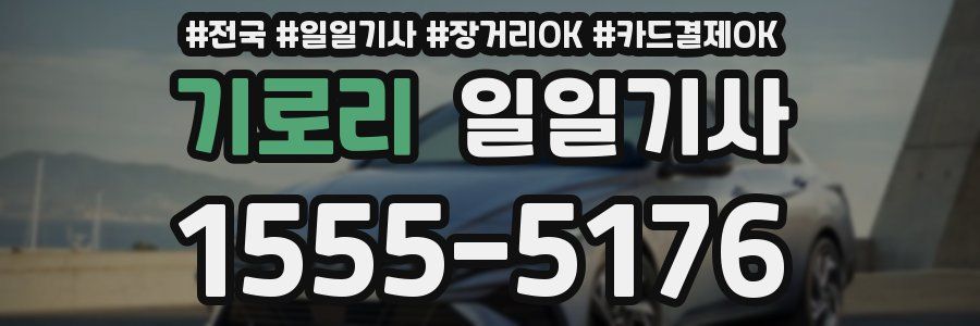 기로리 일일기사