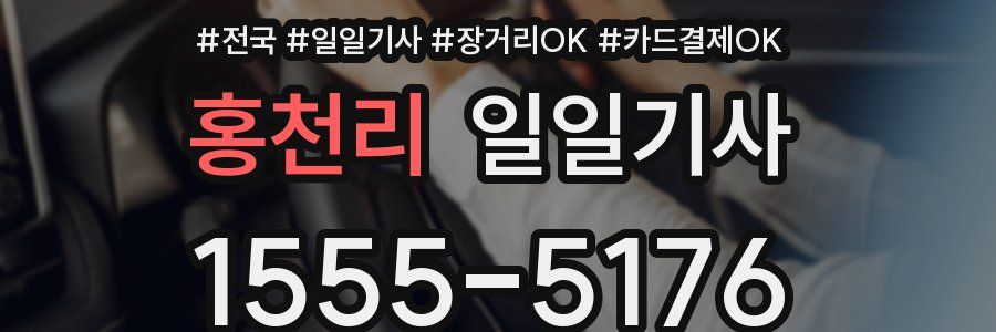 홍천리 일일기사