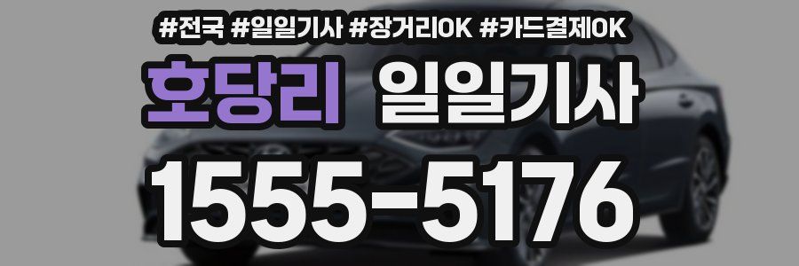 호당리 일일기사