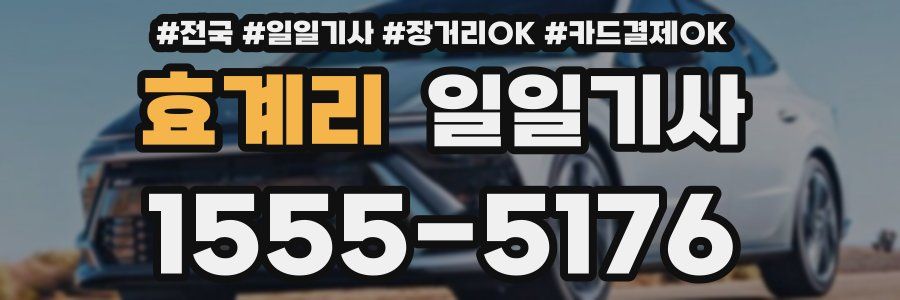 효계리 일일기사