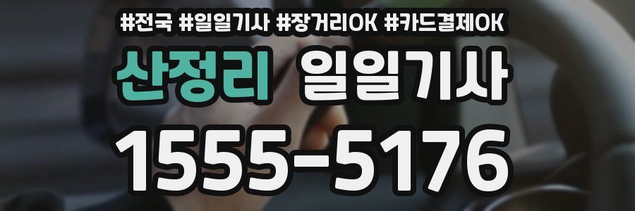 산정리 일일기사