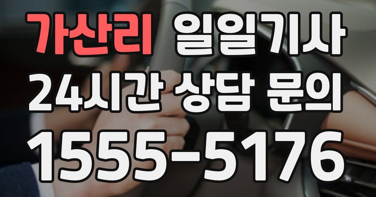 일일대리기사