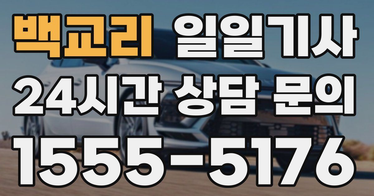 일일대리기사
