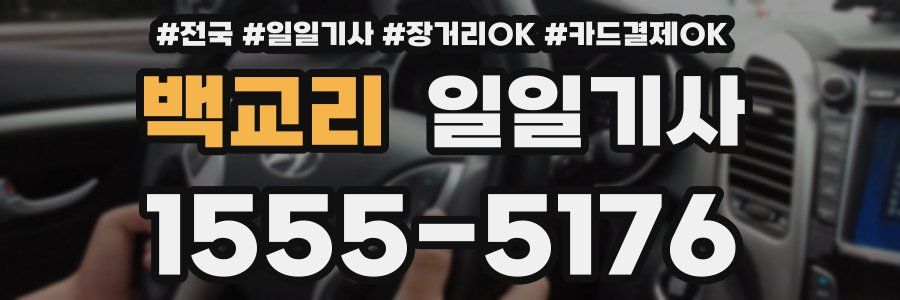 백교리 일일기사