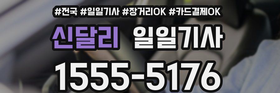 신달리 일일기사