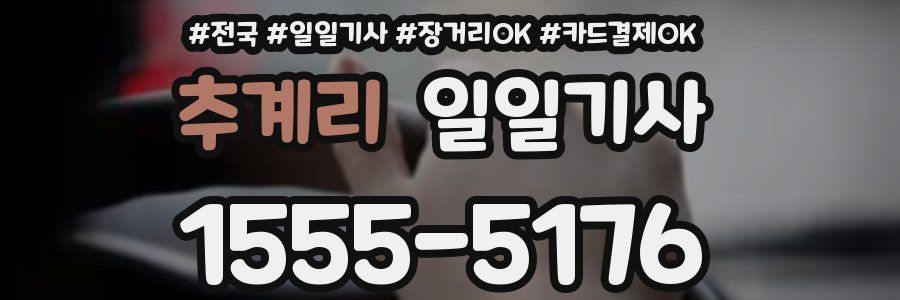 추계리 일일기사