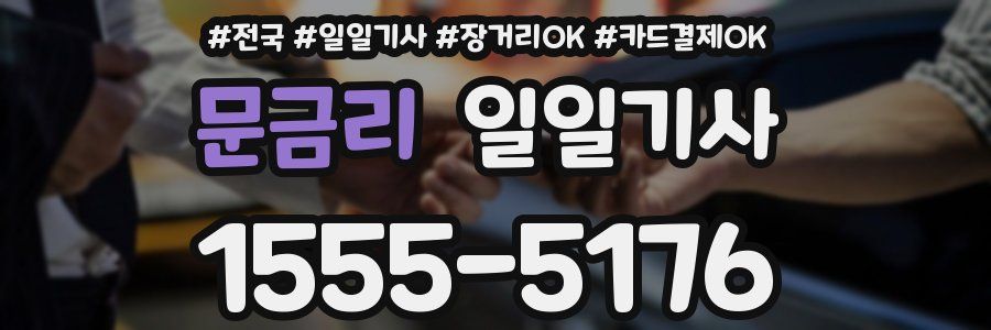 문금리 일일기사