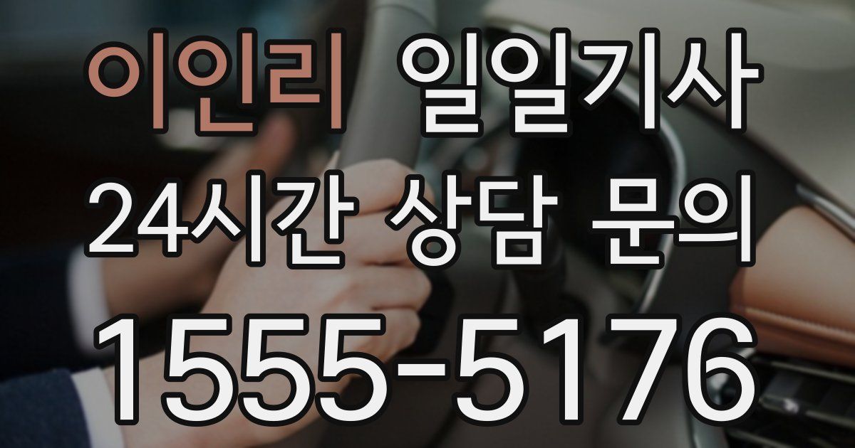 일일대리기사