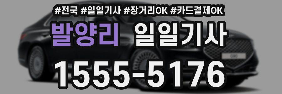 발양리 일일기사