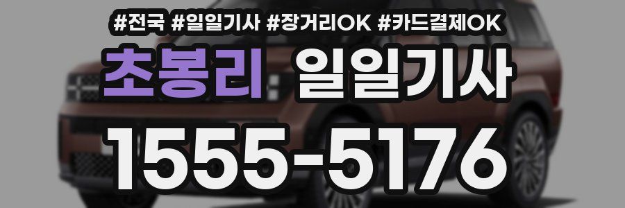 초봉리 일일기사