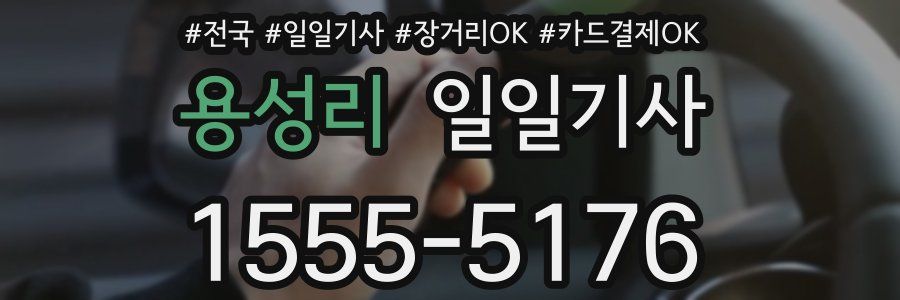 용성리 일일기사