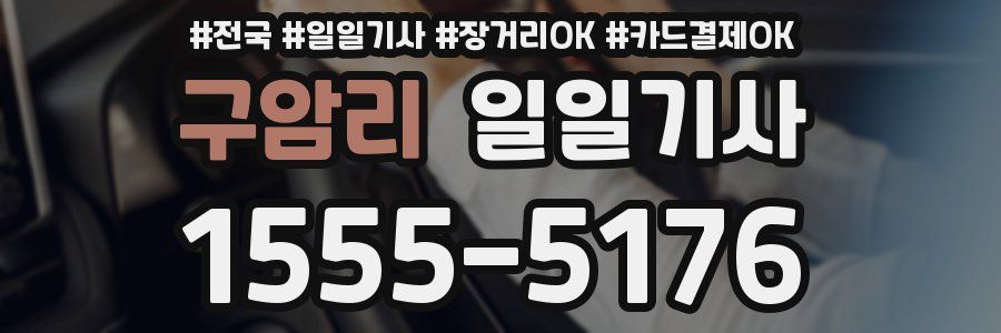 구암리 일일기사