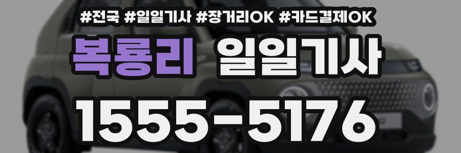 복룡리 일일기사