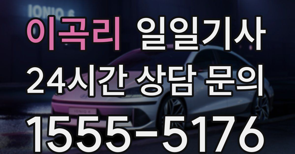 일일대리기사