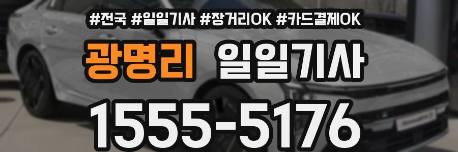 광명리 일일기사