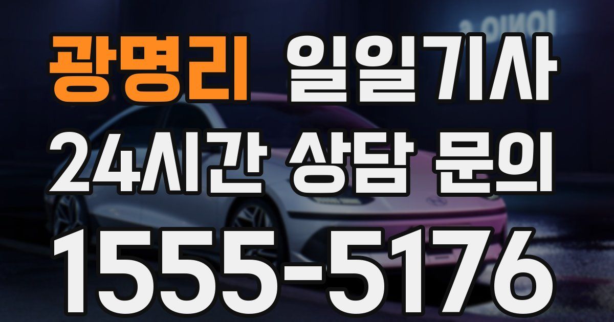 일일대리기사
