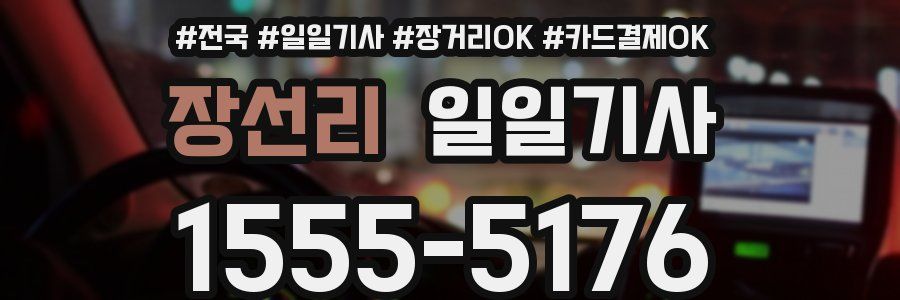 장선리 일일기사