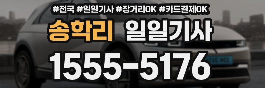 송학리 일일기사