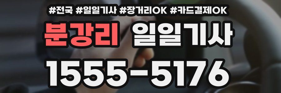 분강리 일일기사