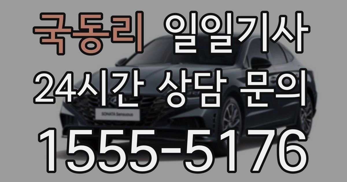일일대리기사