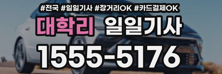 대학리 일일기사