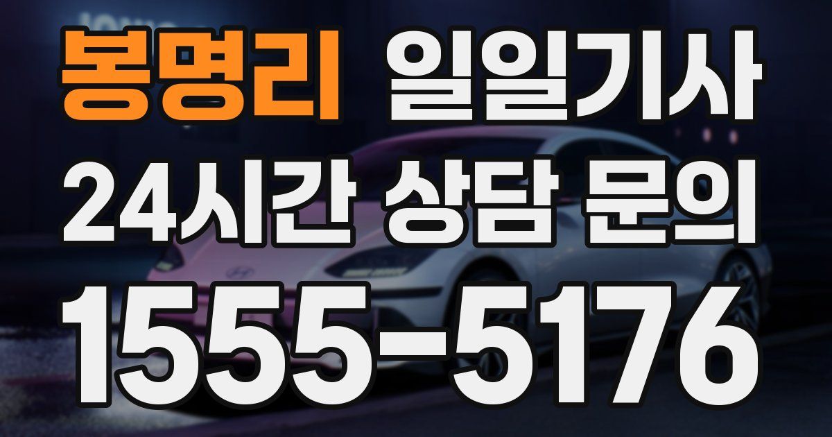 일일대리기사
