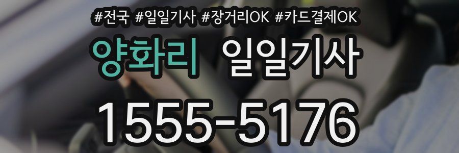 양화리 일일기사