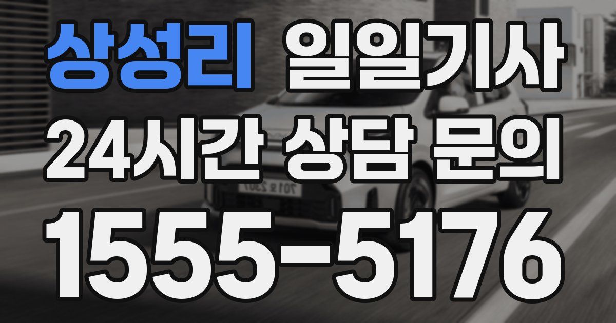 일일대리기사