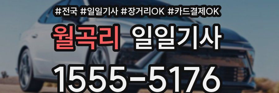 월곡리 일일기사