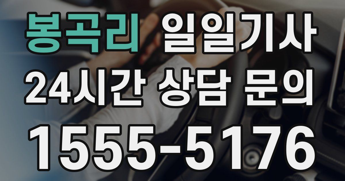 일일대리기사