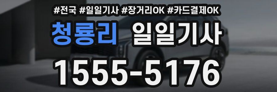 청룡리 일일기사