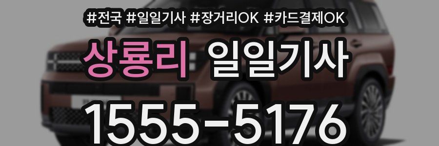 상룡리 일일기사