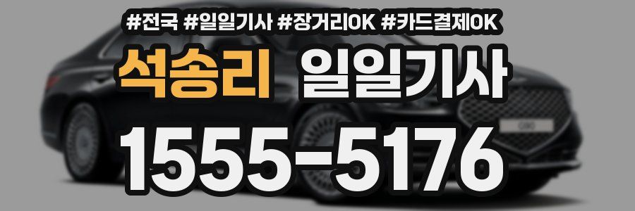 석송리 일일기사